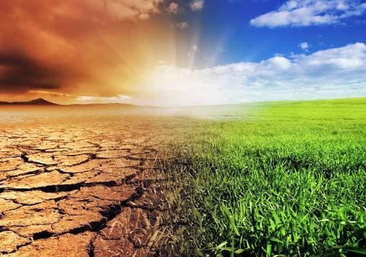 Farming the Anthropocene
