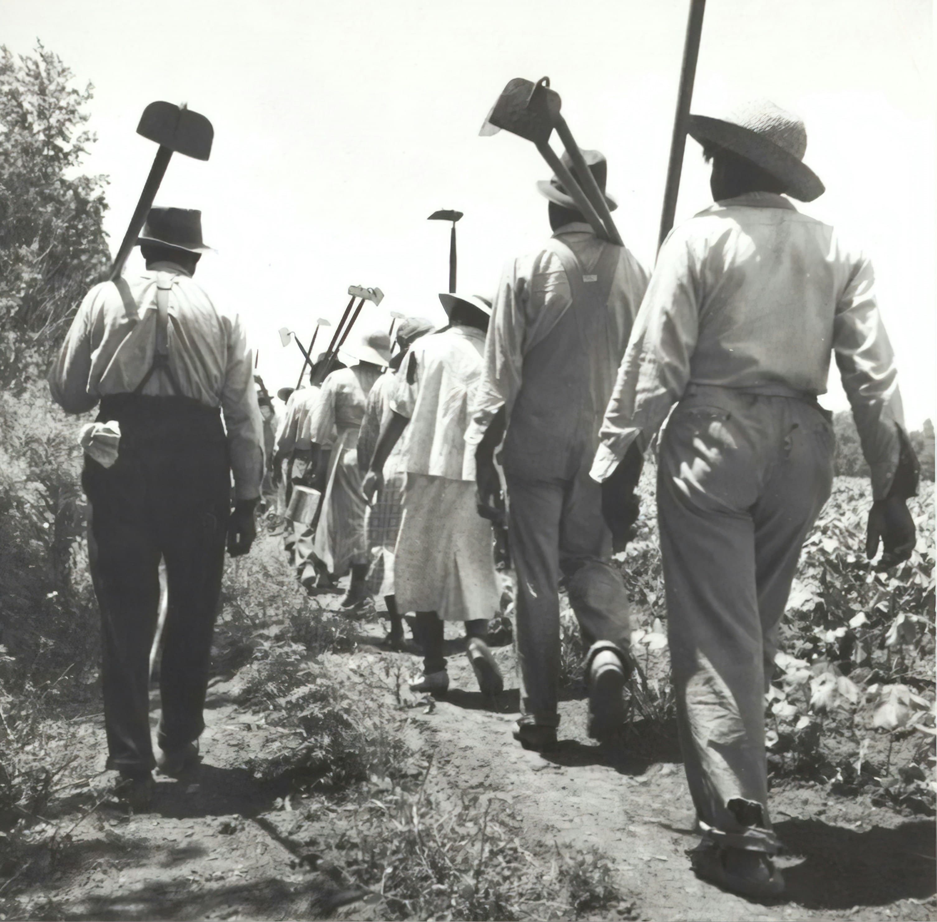 Agrarian Society - Labor, land tenure & rural life